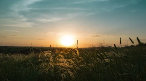 Sunset in the Ukrainian steppe. Stock Footage 38852214