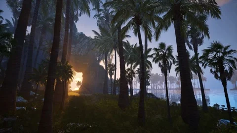 Sunset Under Palm Glow Stock Footage 321472950
