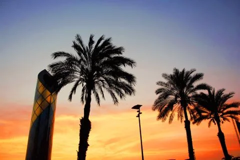 Sunset under the palm trees of the Peruvian coast Stock Photos