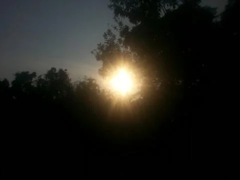 Sunset under tree 스톡 사진