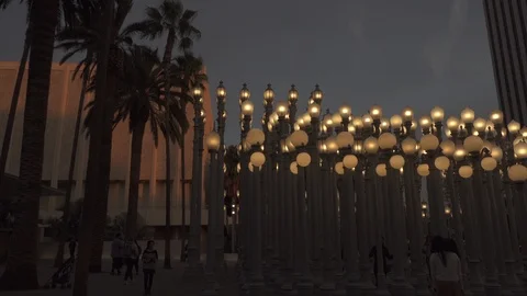 Sunset  “Urban Light” L,A,C,M,A, Stock Footage 122394860