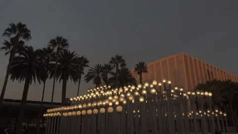 Sunset  “Urban Light” L,A,C,M,A, Stock Footage 122395283