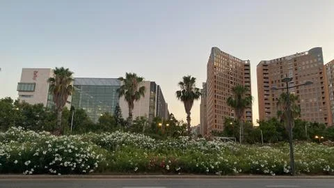 Sunset in Valencia Stock Photos