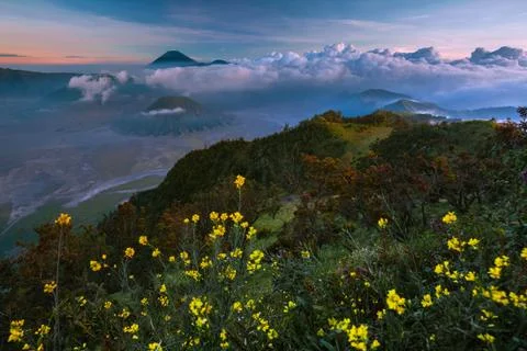 Sunset in a valley with active volcanoes. Java island, Indonesia Stock Photos