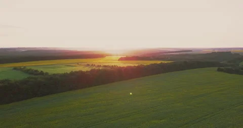 Sunset in the valley, agricultural fields, evening red sun Video stock 149518873