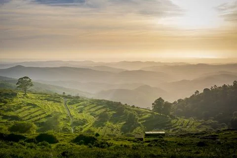 Sunset valley view of Serra de Monchique near mount Foia in the Algarve reg.. Stock Photos