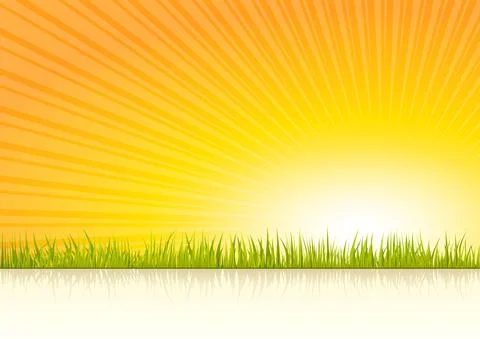 Sunset vector illustration background with grass 스톡 일러스트