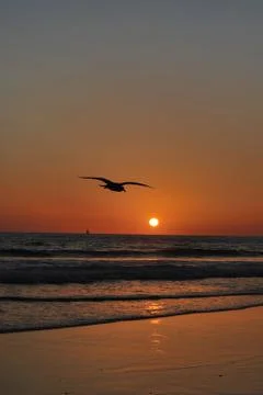 Sunset on Venice Beach Stock Photos