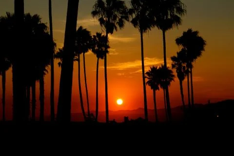 Sunset at Venice beach Foto stock