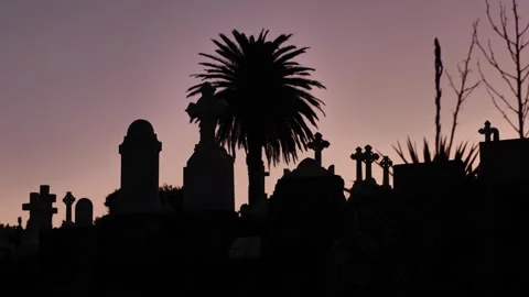 Sunset Victorian and Edwardian monuments in grave yard slow motion 4K Stock Footage 273428664