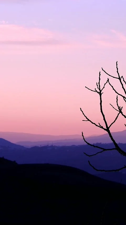 Sunset video Видео 230113542