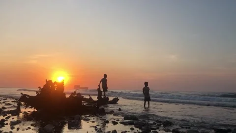 Sunset  Video Stock Footage 246064220