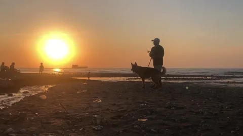 Sunset video Stock Footage 246065284