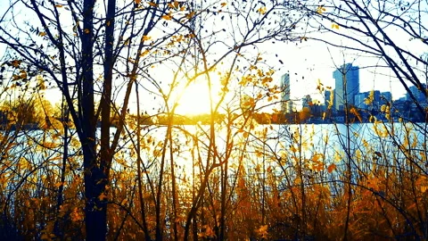 Sunset in vienna Stock-Footage 144830058