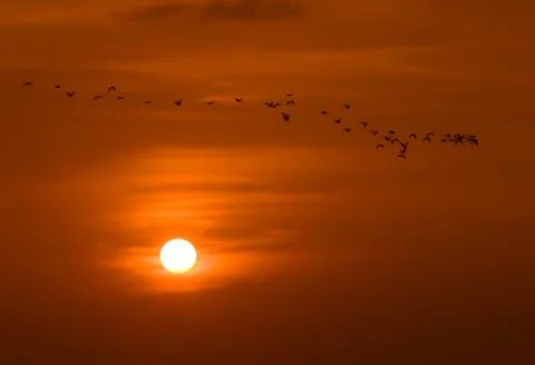 The sunset in Vietnam Stock Photos