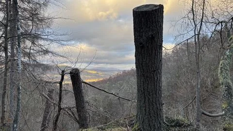 Sunset view across Perthshire in Scotland Stock Photos
