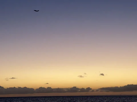 Sunset View of an Airplane Flying Over the Ocean in Calm Evening Light Stock Footage 319361673