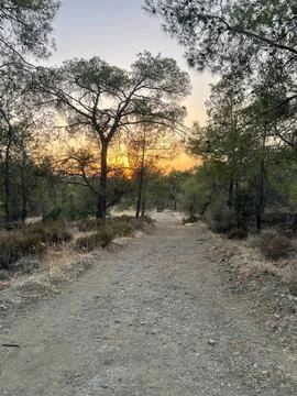 Sunset View Along a Forest Trail in Pyrka Stavrovouni, Cyprus, Surrounded b.. Stock Photos
