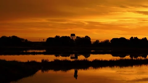 Sunset view in Balik Pulau with water reflection from paddy field Stock Footage 164935842