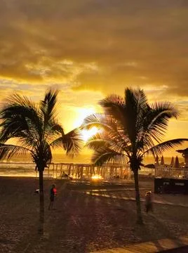 Sunset view at the beach with palm trees and people enjoying the sand and oce Stock Photos
