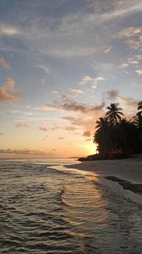 Sunset view on the beach Foto stock