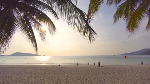 Sunset view beach sea sand sun and coconut tree background Stock Footage 149529188
