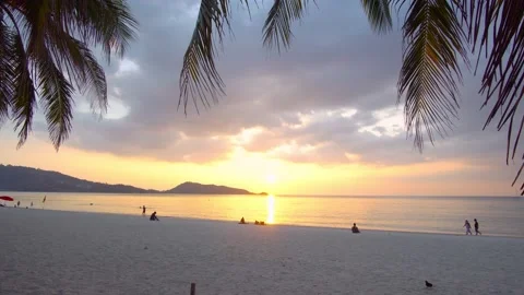 Sunset view beach sea sand sun coconut tree background Stock Footage 149529553