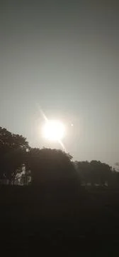 The sunset view behind the tree Stock Photos