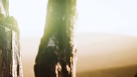 Sunset view behind wooden posts at coastal area with distant horizon Video stock 339886157