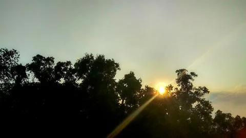 Sunset view beside green tree Stock Photos