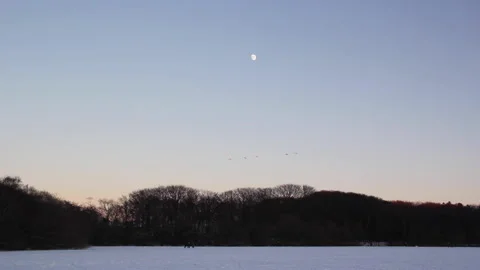 Sunset view of birds flying over frozen lake Stock Footage 143335332