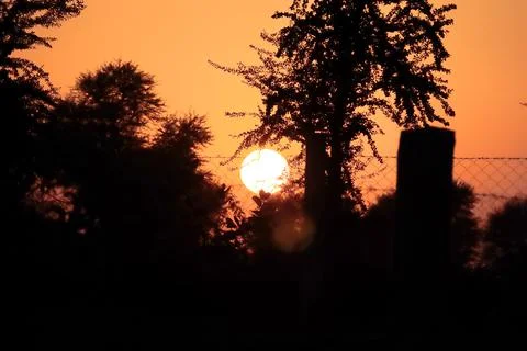 Sunset view with a bright full sun hiding behind a fence made of iron wires a Stock Photos