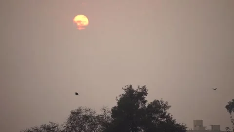 Sunset view in clouds and birds are flying Stock Footage 319999814