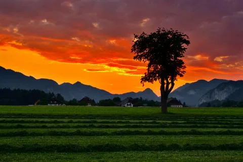 Sunset view with clouds over alps Stock Photos