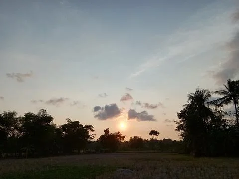 Sunset view in the countryside. Фото
