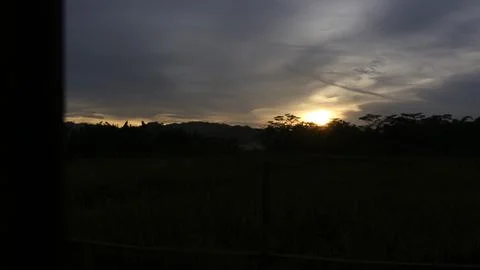 Sunset view with dark clouds and tree silhouettes Stock Photos