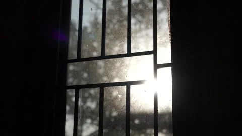 Sunset view from dirty glass window Stock Footage 242819117