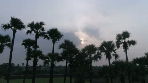 Sunset view from drone Stock-Footage 134986690