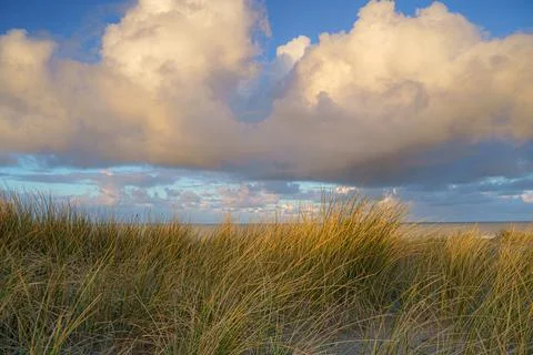 Sunset View from dune top over North Sea from the dutch islands Stock Photos