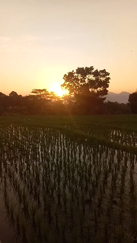 Sunset view in the evening 库存影片 288496018
