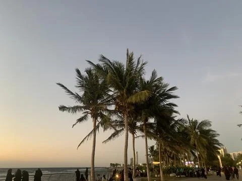The sunset view in the evening Stock Photos