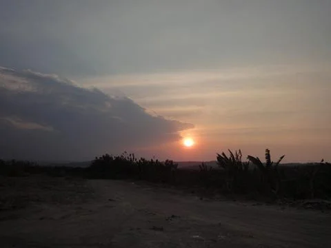 Sunset view in the field bordered by bushes and trees Stock Photos