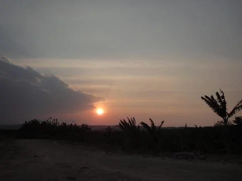 Sunset view in the field bordered by bushes and trees Stock Photos