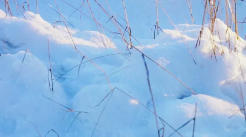 Sunset view of field covered by snow, slider shot Stock Footage 36727239