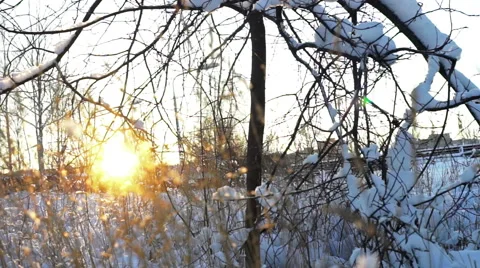 Sunset view of field with dry grass Stock Footage 50232094