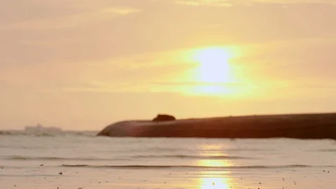 Sunset view. Video stock 120411304