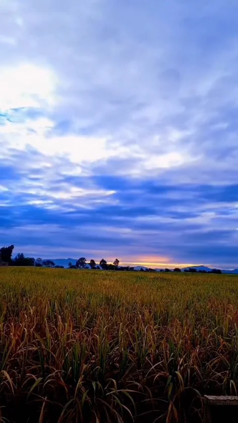 Sunset view Video stock 168940087