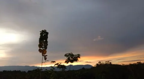 Sunset view Stock Footage 229452237