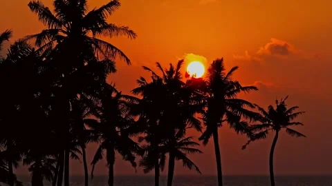 Sunset with a view Video stock 263418414
