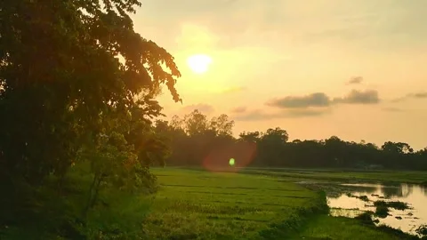 The sunset view Video stock 276543621